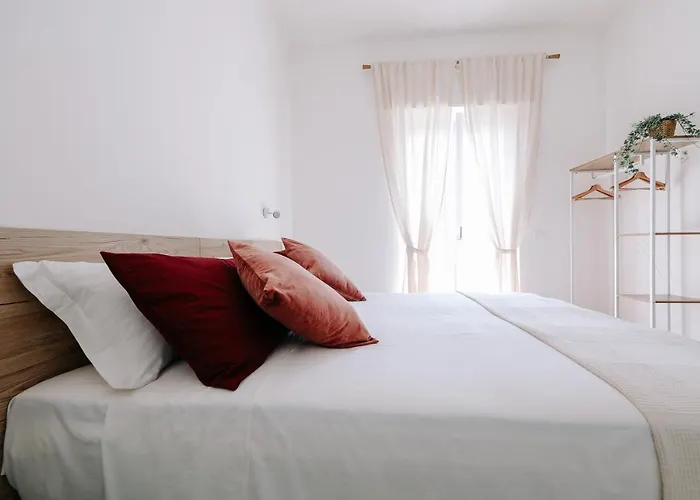 Primo Rent 4*